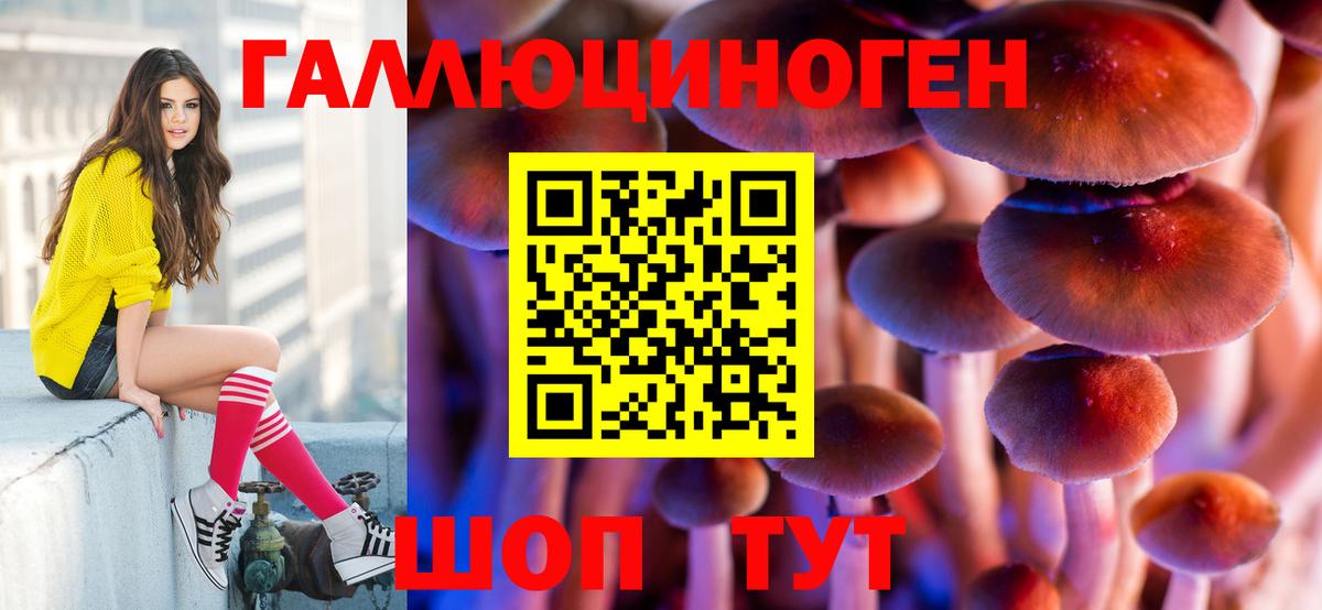 Псилоцибиновые грибы Cubensis Новотроицк